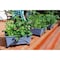 Emsco Group Raised Bed Grow Box, Self Watering and Improved Aeration, Mobile Unit with Casters, Slate 2346-1HD - alternate 2